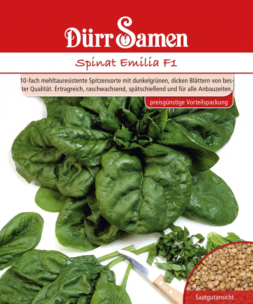 Spinat Emilia F1 250 G | Spinatsamen Von Dürr Samen 1 Spinat Emilia F1 250 G | Spinatsamen Von Dürr Samen