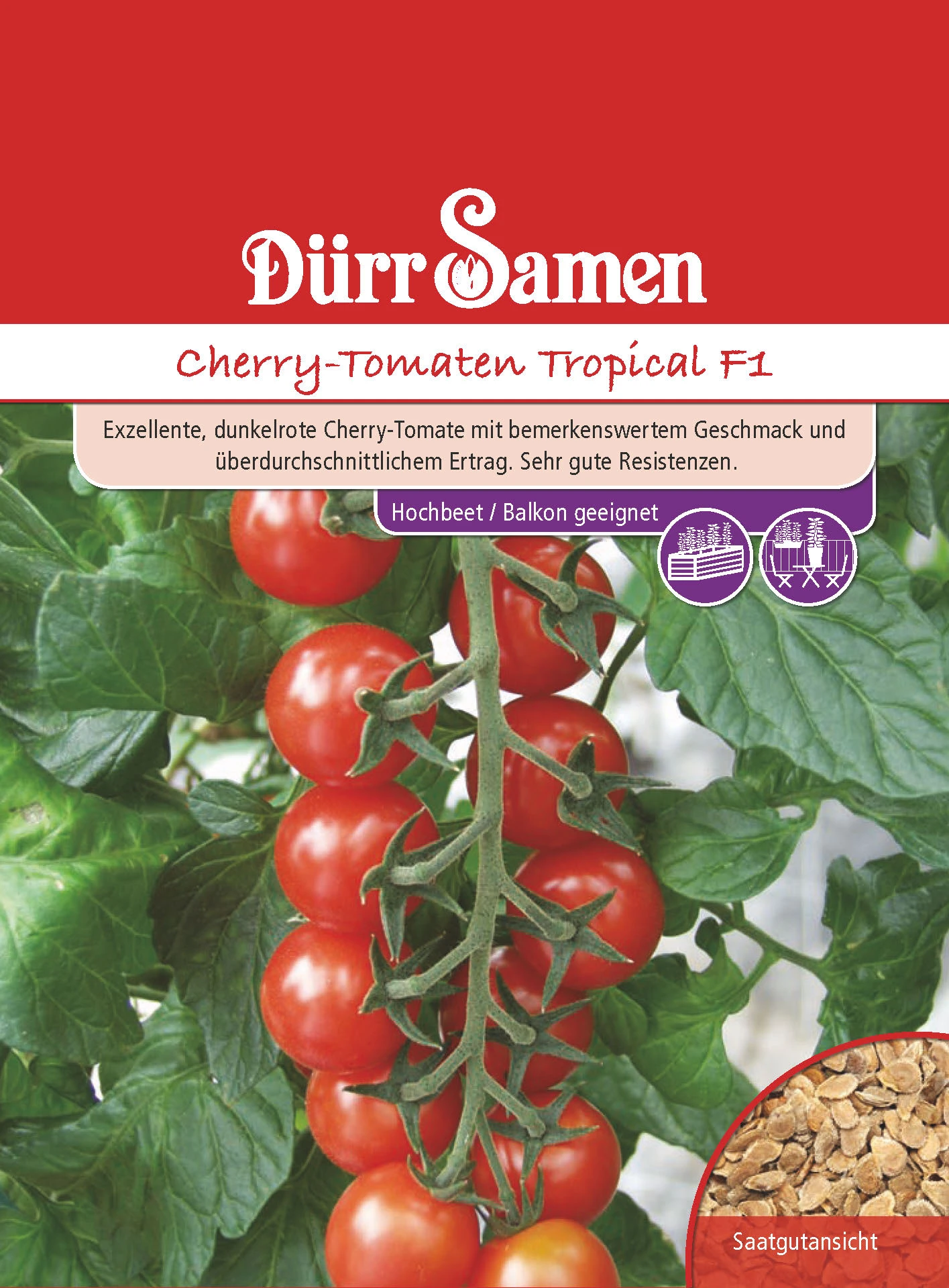 Kirschtomate Tropical F1 | Kirschtomatensamen Von Dürr Samen 1 Kirschtomate Tropical F1 | Kirschtomatensamen Von Dürr Samen