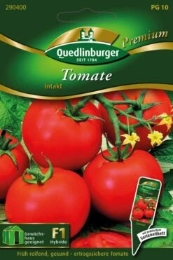 Tomate Intakt | Tomatensamen Von Quedlinburger