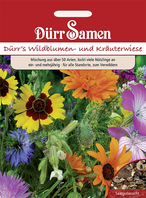 Wildblumen- Und Kräuterwiese Mit Gräsern 125m² | Blumenwiese Von Dürr Samen 1 Wildblumen- Und Kräuterwiese Mit Gräsern 125m² | Blumenwiese Von Dürr Samen