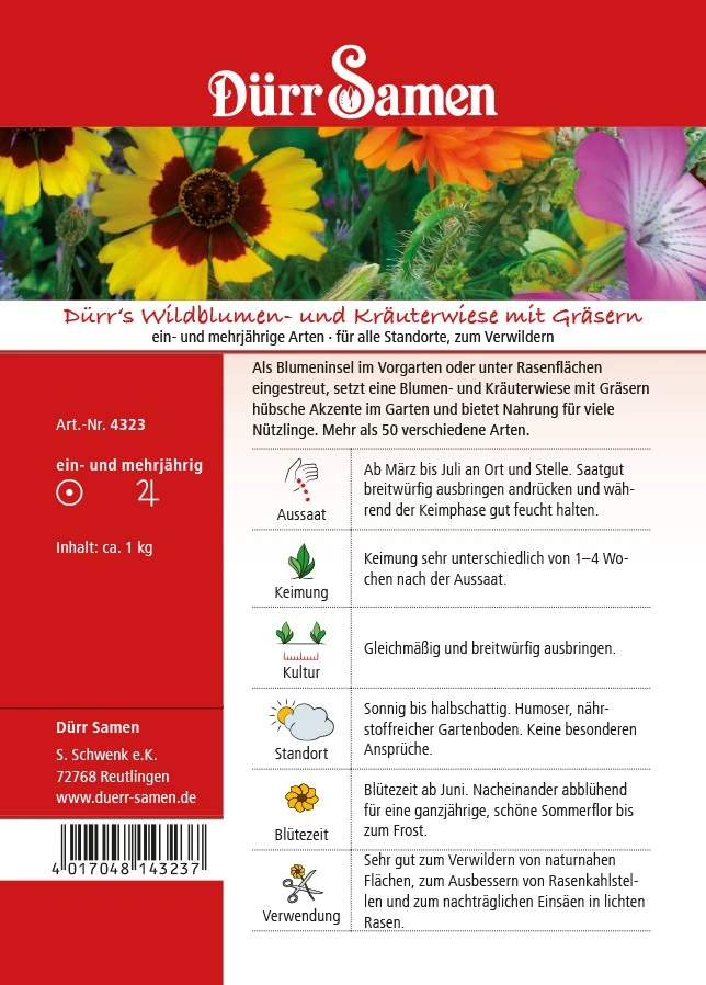 Wildblumen- Und Kräuterwiese Mit Gräsern 125m² | Blumenwiese Von Dürr Samen 2 Wildblumen- Und Kräuterwiese Mit Gräsern 125m² | Blumenwiese Von Dürr Samen – Bild 2