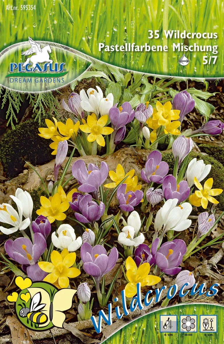 Wildkrokus Mischung Pastellfarben (35 Stück) | Krokuszwiebeln Von Pegasus 1 Wildkrokus Mischung Pastellfarben (35 Stück) | Krokuszwiebeln Von Pegasus
