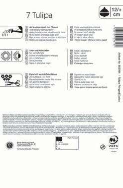 Gefranste Tulpe Dallas (7 Stück) | Tulpenzwiebeln Von Kiepenkerl