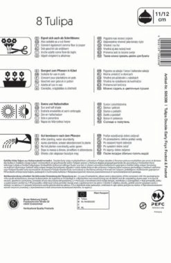 Gefüllte Frühe Tulpe Bright Harmony (8 Stück) | Tulpenzwiebeln Von Kiepenkerl