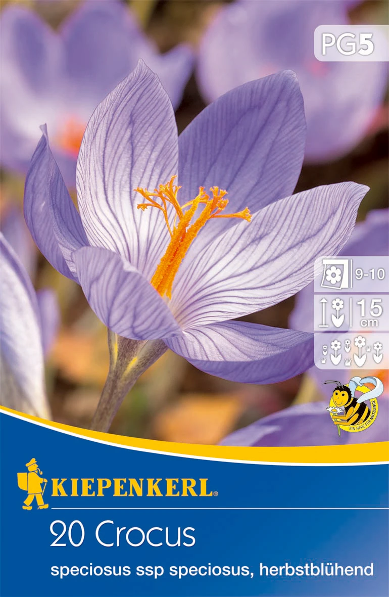 Pracht-Herbst-Krokus (20 Stück) | Krokuszwiebeln Von Kiepenkerl 2 Pracht-Herbst-Krokus (20 Stück) | Krokuszwiebeln Von Kiepenkerl – Bild 2