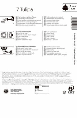 Triumph-Tulpe Shirley (7 Stück) | Tulpenzwiebeln Von Kiepenkerl