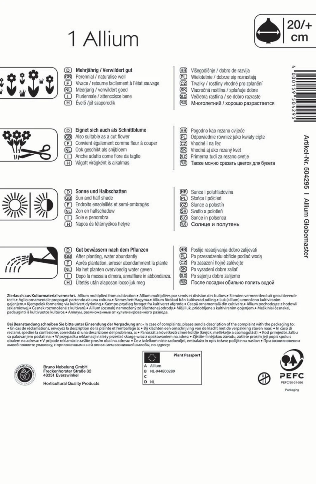 Zierlauch Globemaster (1 Stück) | Alliumzwiebeln Von Kiepenkerl 2 Zierlauch Globemaster (1 Stück) | Alliumzwiebeln Von Kiepenkerl – Bild 2