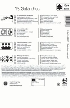 Schneeglöckchen (15 Stück) | Schneeglöckchenzwiebeln Von Kiepenkerl