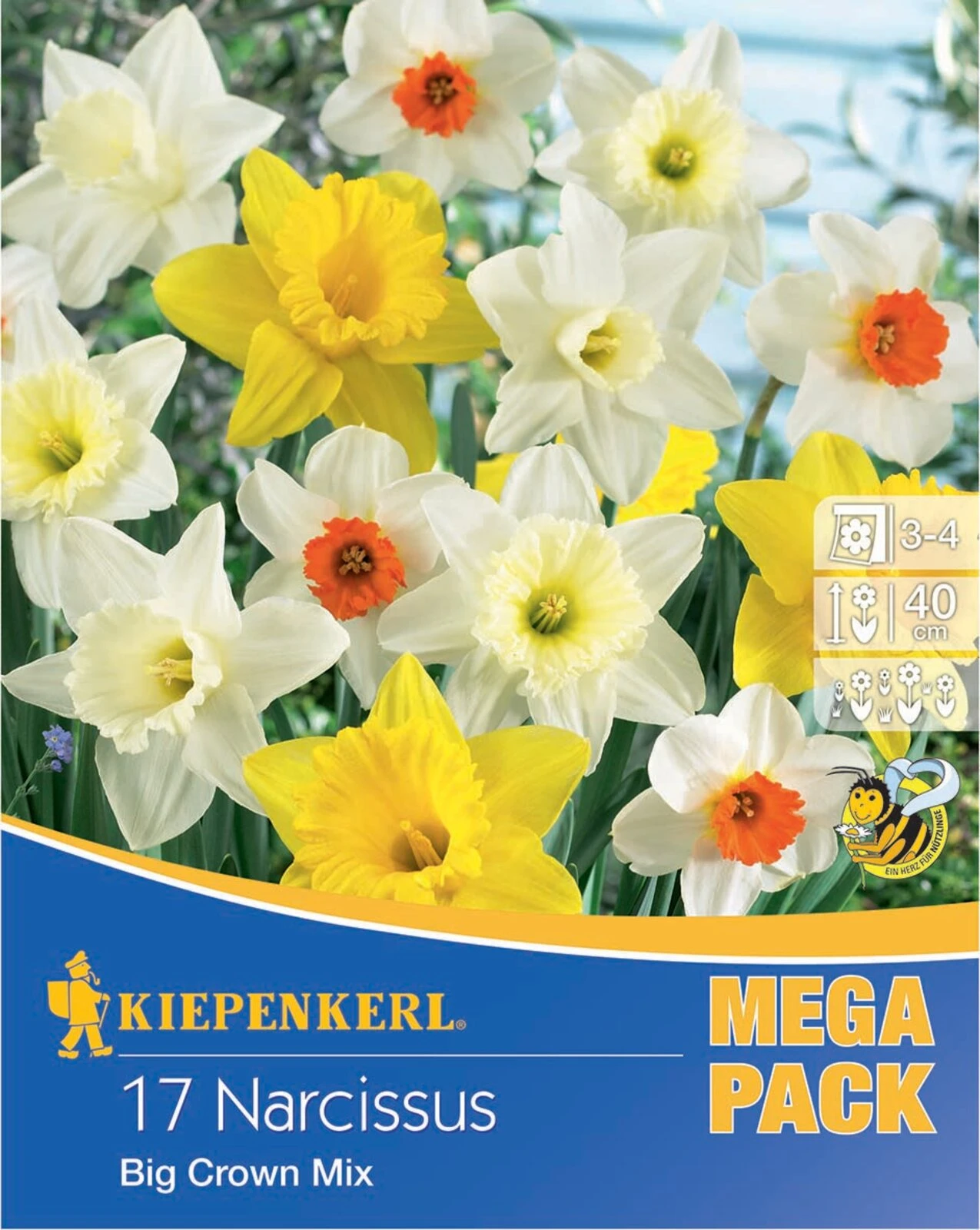 Mega-Pack Narzissen Mischung (17 Stück) | Narzissenzwiebeln Von Kiepenkerl 1 Mega-Pack Narzissen Mischung (17 Stück) | Narzissenzwiebeln Von Kiepenkerl