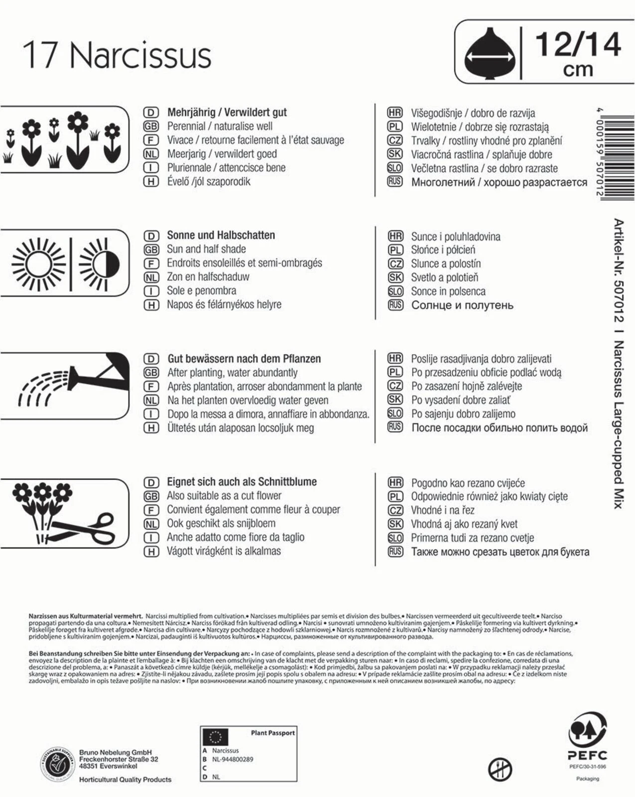 Mega-Pack Narzissen Mischung (17 Stück) | Narzissenzwiebeln Von Kiepenkerl 2 Mega-Pack Narzissen Mischung (17 Stück) | Narzissenzwiebeln Von Kiepenkerl – Bild 2