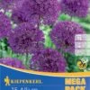 Mega-Pack Zierlauch Purple Sensation (15 Stück) | Alliumzwiebeln Von Kiepenkerl