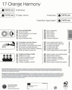 Colour Symphony Orange Harmony (17 Stück) | Blumenzwiebelmischungen Von Kiepenkerl