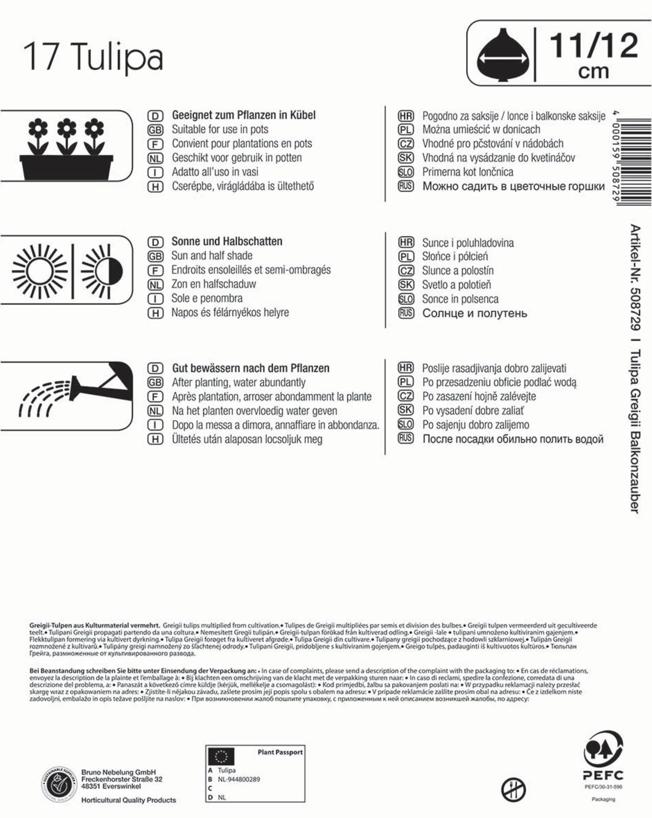 Mega-Pack Botanische Tulpe Balkonzauber Mischung (17 Stück) | Tulpenzwiebeln Von Kiepenkerl 1 Mega-Pack Botanische Tulpe Balkonzauber Mischung (17 Stück) | Tulpenzwiebeln Von Kiepenkerl