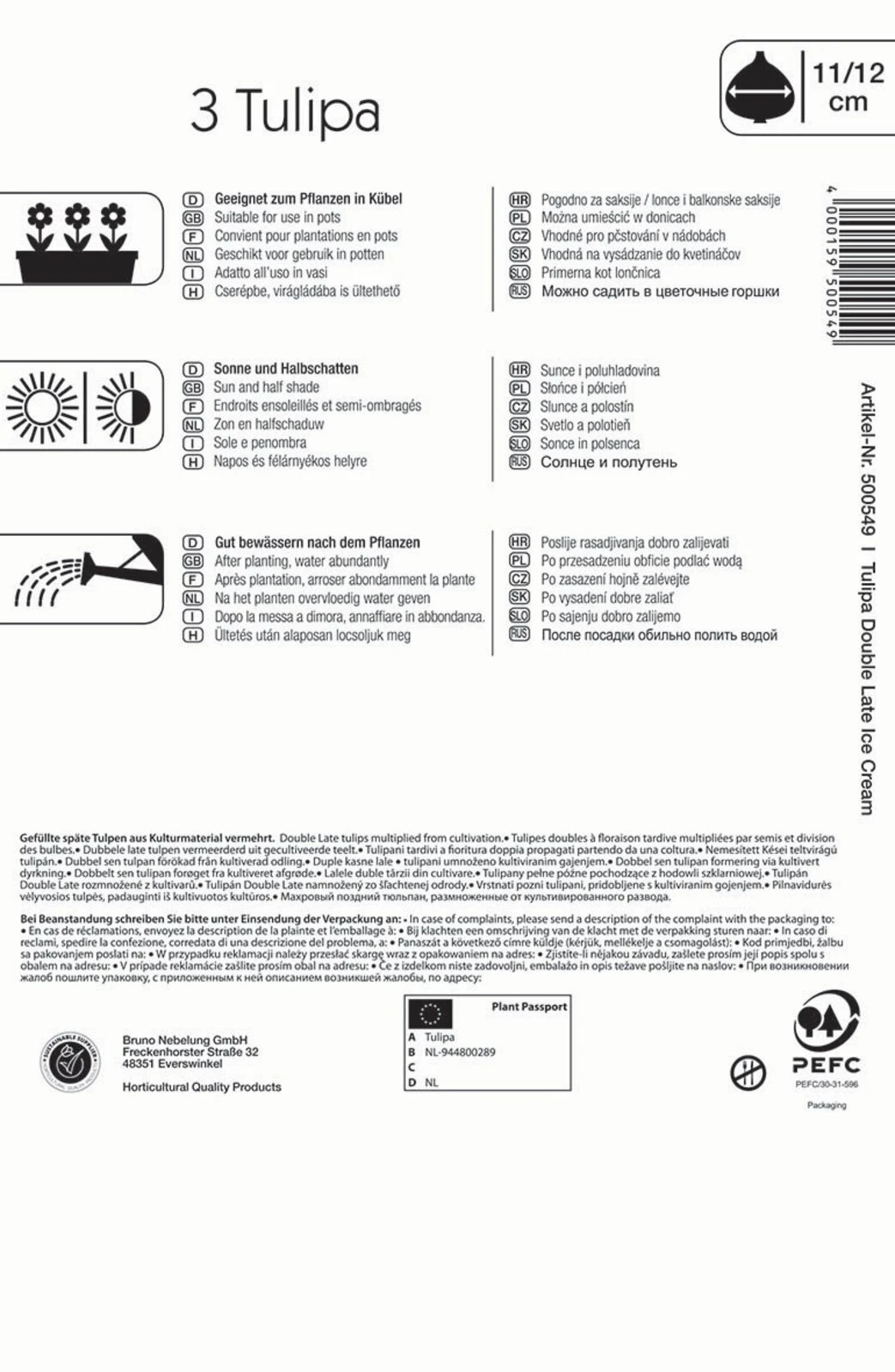 Gefüllte Späte Tulpe Ice Cream (3 Stück) | Tulpenzwiebeln Von Kiepenkerl 1 Gefüllte Späte Tulpe Ice Cream (3 Stück) | Tulpenzwiebeln Von Kiepenkerl