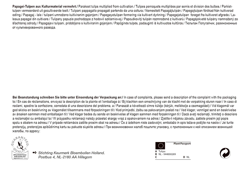 Papageien Tulpe Mischung (25 Stück) | Tulpenzwiebeln Von Pegasus 2 Papageien Tulpe Mischung (25 Stück) | Tulpenzwiebeln Von Pegasus – Bild 2