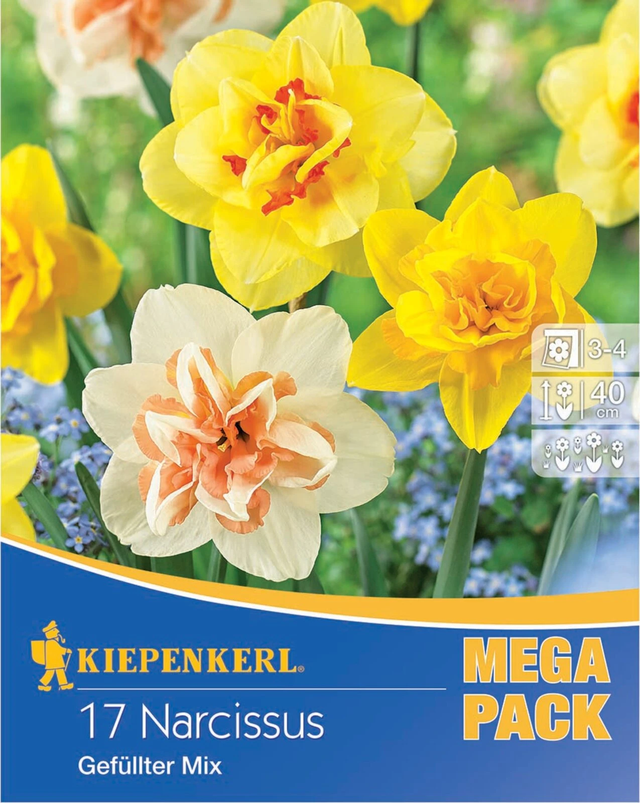 Mega-Pack Narzissen Gefüllte Mischung (17 Stück) | Narzissenzwiebeln Von Kiepenkerl 2 Mega-Pack Narzissen Gefüllte Mischung (17 Stück) | Narzissenzwiebeln Von Kiepenkerl – Bild 2