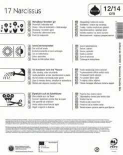 Mega-Pack Narzissen Gefüllte Mischung (17 Stück) | Narzissenzwiebeln Von Kiepenkerl
