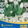 Colour Symphony White Harmony (26 Stück) | Blumenzwiebelmischungen Von Kiepenkerl
