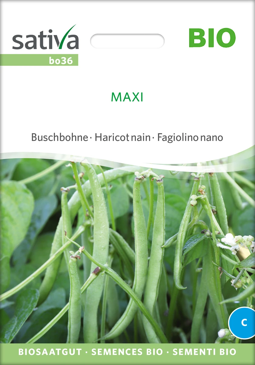Buschbohne Maxi | BIO Buschbohnensamen Von Sativa Rheinau 2 Buschbohne Maxi | BIO Buschbohnensamen Von Sativa Rheinau – Bild 2