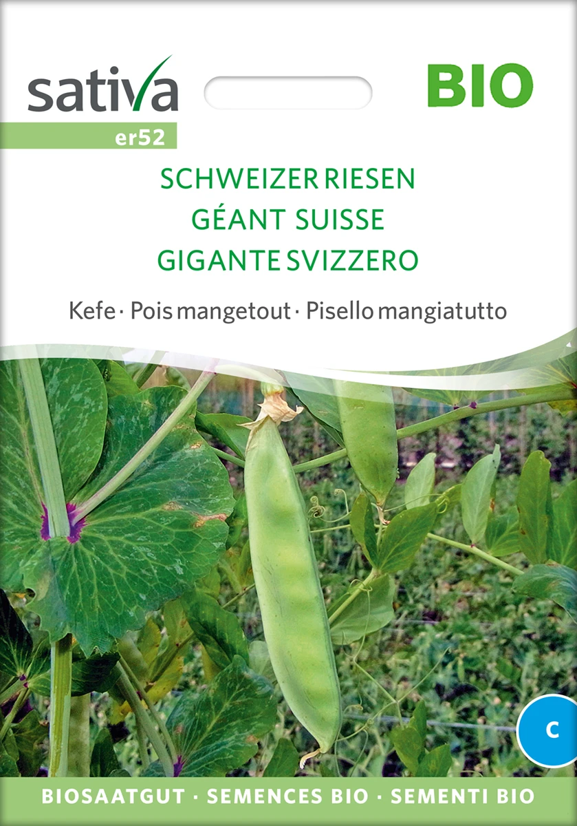 Zuckererbse Schweizer Riesen | BIO Zuckererbsensamen Von Sativa Rheinau 1 Zuckererbse Schweizer Riesen | BIO Zuckererbsensamen Von Sativa Rheinau