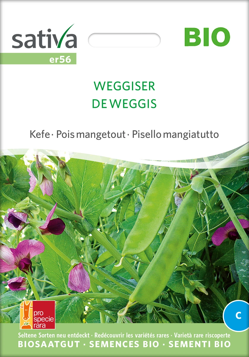 Zuckererbse Weggiser | BIO Zuckererbsensamen Von Sativa Rheinau 1 Zuckererbse Weggiser | BIO Zuckererbsensamen Von Sativa Rheinau