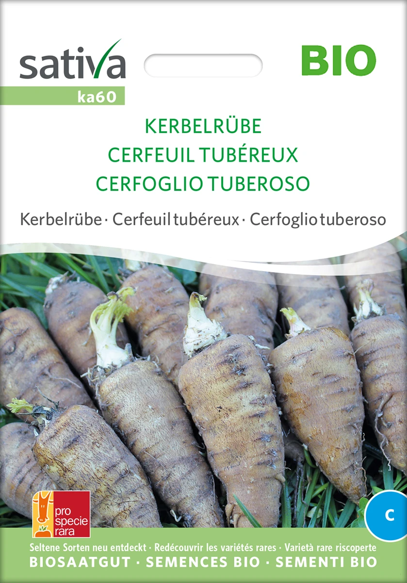 Kerbelrübe Kerbelrübe | BIO Rübensamen Von Sativa Rheinau 2 Kerbelrübe Kerbelrübe | BIO Rübensamen Von Sativa Rheinau – Bild 2