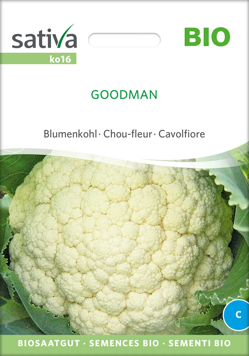 Blumenkohl Goodman | BIO Blumenkohlsamen Von Sativa Rheinau 2 Blumenkohl Goodman | BIO Blumenkohlsamen Von Sativa Rheinau – Bild 2