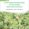 Spargelerbse Rotblühende Spargelerbse | BIO Erbsensamen Von Sativa Rheinau
