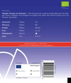 Wunder Von Kelvedon | BIO Erbsensamen Von De Bolster