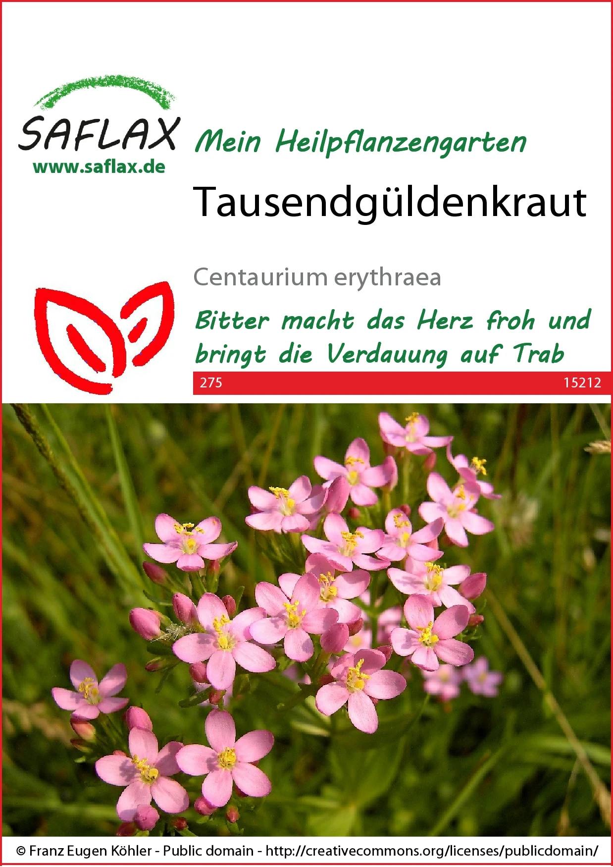 Tausendgüldenkraut | Heilpflanzensamen Von Saflax 1 Tausendgüldenkraut | Heilpflanzensamen Von Saflax