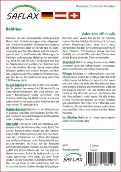 Baldrian | Heilpflanzensamen Von Saflax