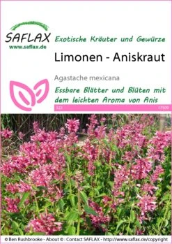 Limonen-Aniskraut | Anissamen Von Saflax