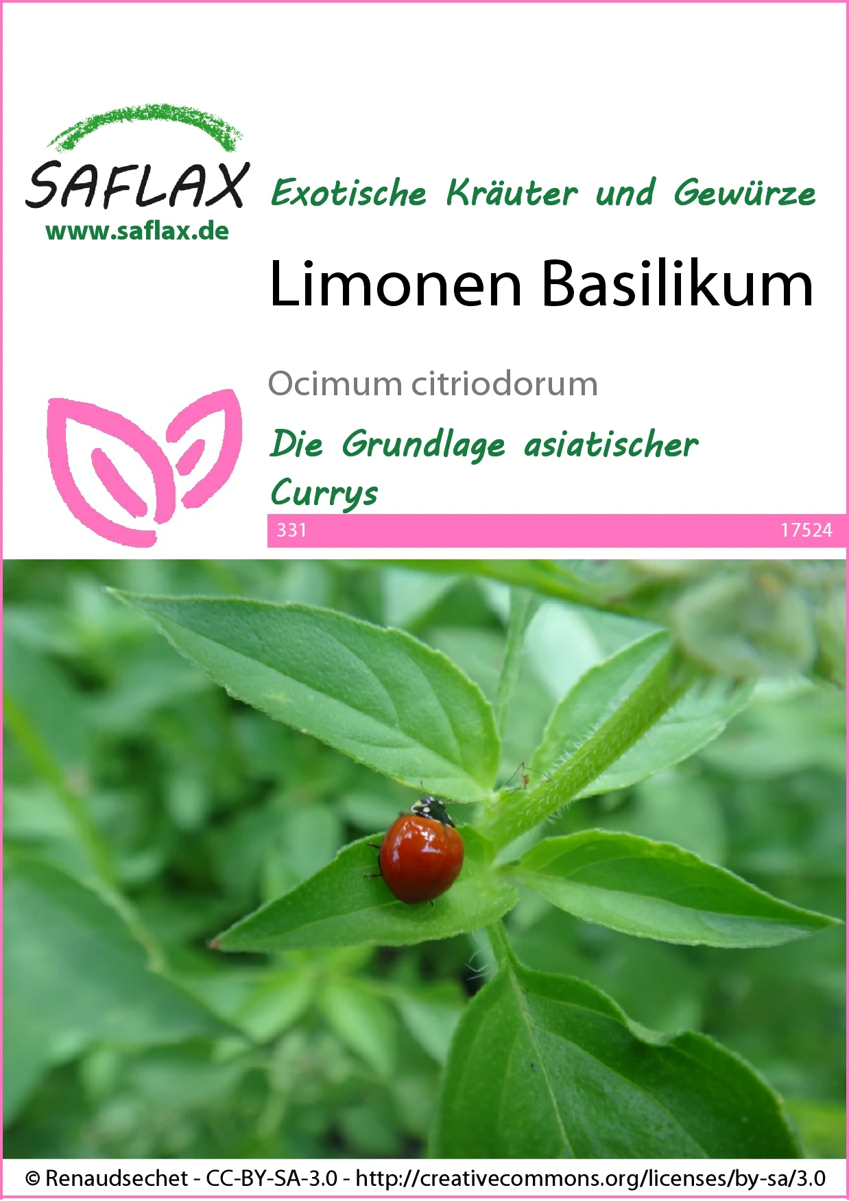 Limonen Basilikum | Basilikumsamen Von Saflax 1 Limonen Basilikum | Basilikumsamen Von Saflax