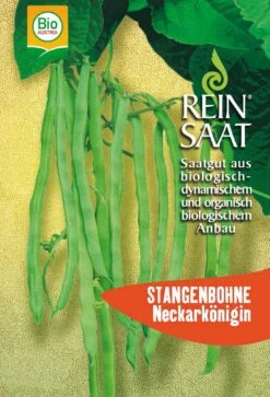 Stangenbohne Neckarkönigin | BIO Stangenbohnensamen Von Reinsaat