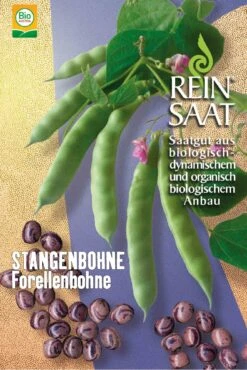 Forellenbohne | BIO Bohnensamen Von Reinsaat