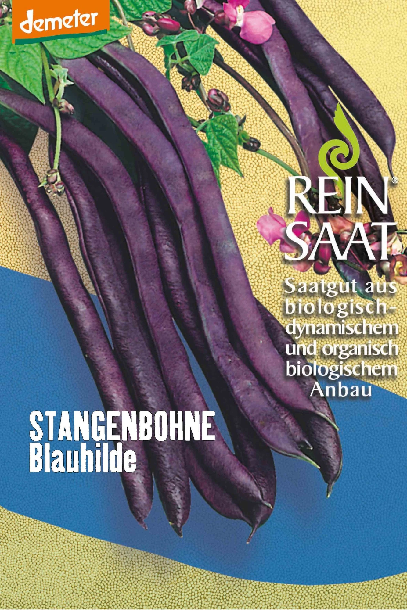 Stangenbohne Blauhilde | BIO Stangenbohnensamen Von Reinsaat 1 Stangenbohne Blauhilde | BIO Stangenbohnensamen Von Reinsaat