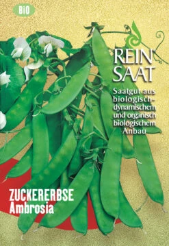 Zuckererbse Ambrosia | BIO Zuckererbsensamen Von Reinsaat
