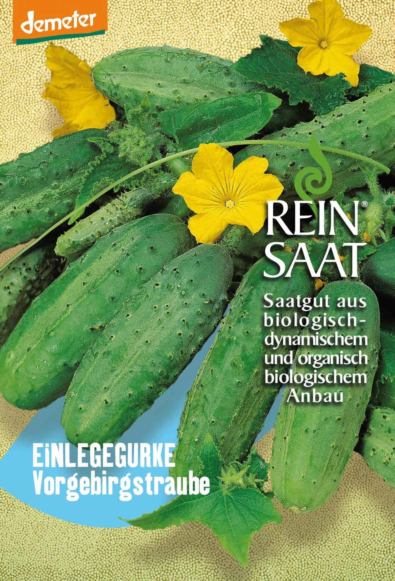 Einlegegurke Vorgebirgstraube | BIO Einlegegurkensamen Von Reinsaat 1 Einlegegurke Vorgebirgstraube | BIO Einlegegurkensamen Von Reinsaat