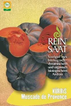 Kürbis Muscade De Provence | BIO Kürbissamen Von Reinsaat