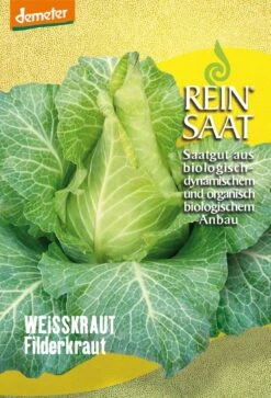 Weißkraut Filderkraut | BIO Weißkohlsamen Von Reinsaat