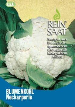 Blumenkohl Neckarperle | BIO Blumenkohlsamen Von Reinsaat