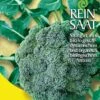 Broccoli Ramoso Calabrese | BIO Brokkolisamen Von Reinsaat