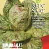 Romanasalat Forellenschluss | BIO Romanasalatsamen Von Reinsaat