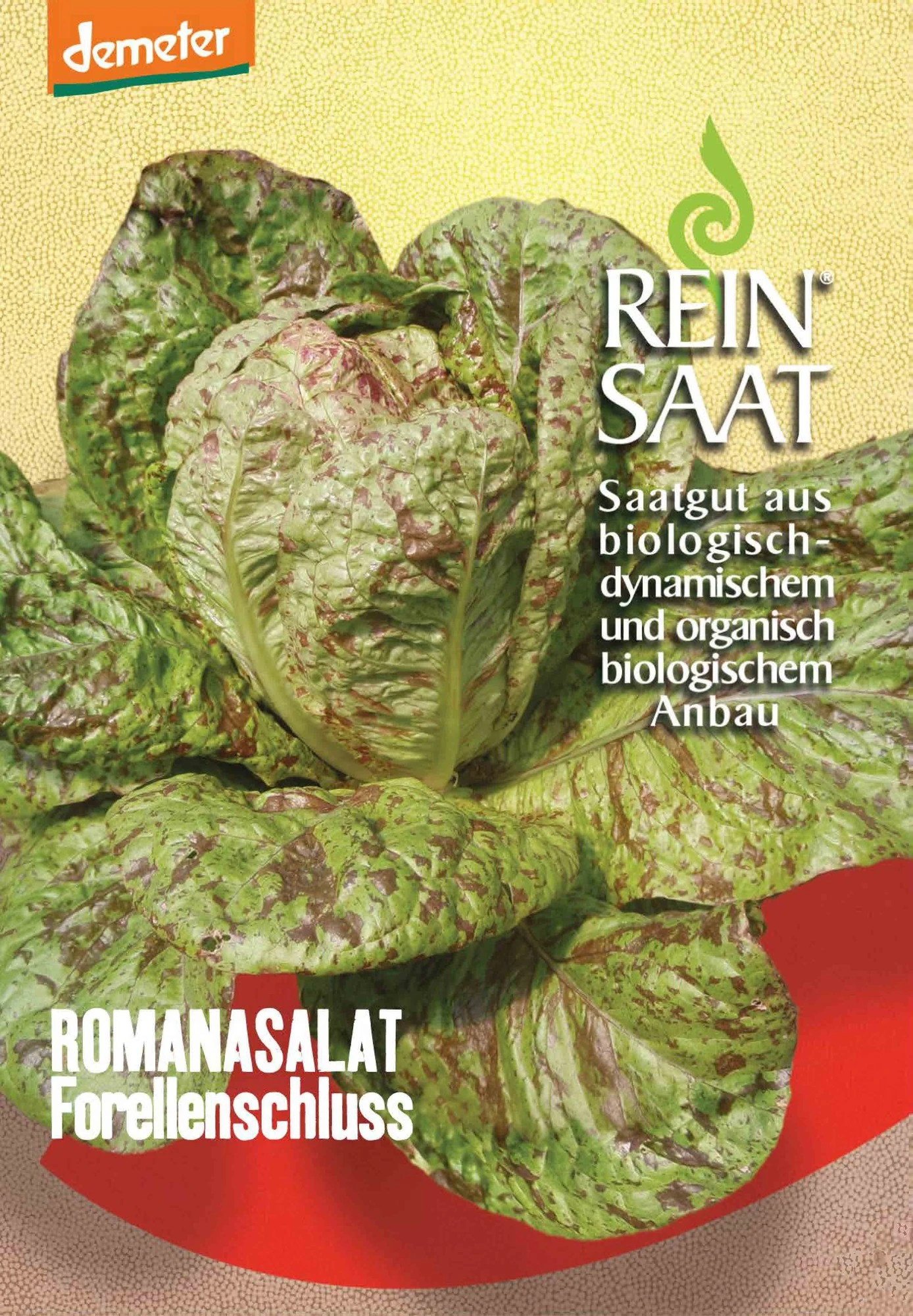 Romanasalat Forellenschluss | BIO Romanasalatsamen Von Reinsaat 1 Romanasalat Forellenschluss | BIO Romanasalatsamen Von Reinsaat