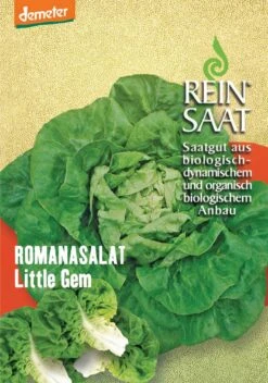 Romanasalat Little Gem | BIO Romanasalatsamen Von Reinsaat