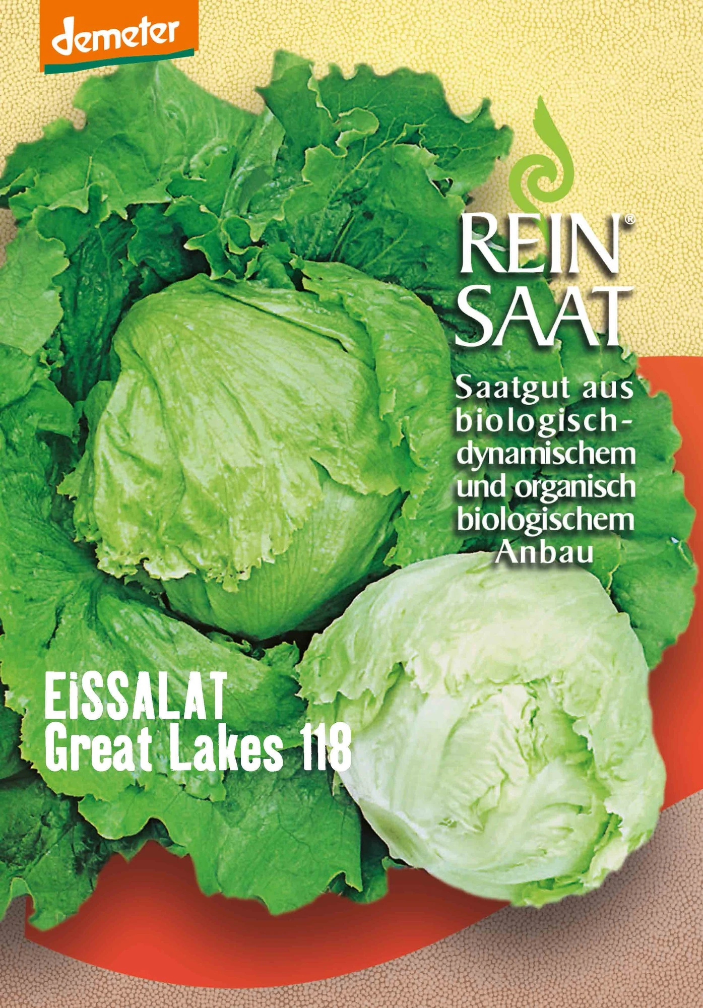 Eissalat Great Lakes | BIO Eissalatsamen Von Reinsaat 1 Eissalat Great Lakes | BIO Eissalatsamen Von Reinsaat