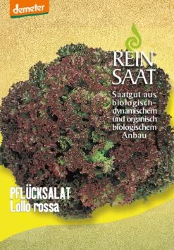 Pflücksalat Lollo Rossa | BIO Pflücksalatsamen Von Reinsaat