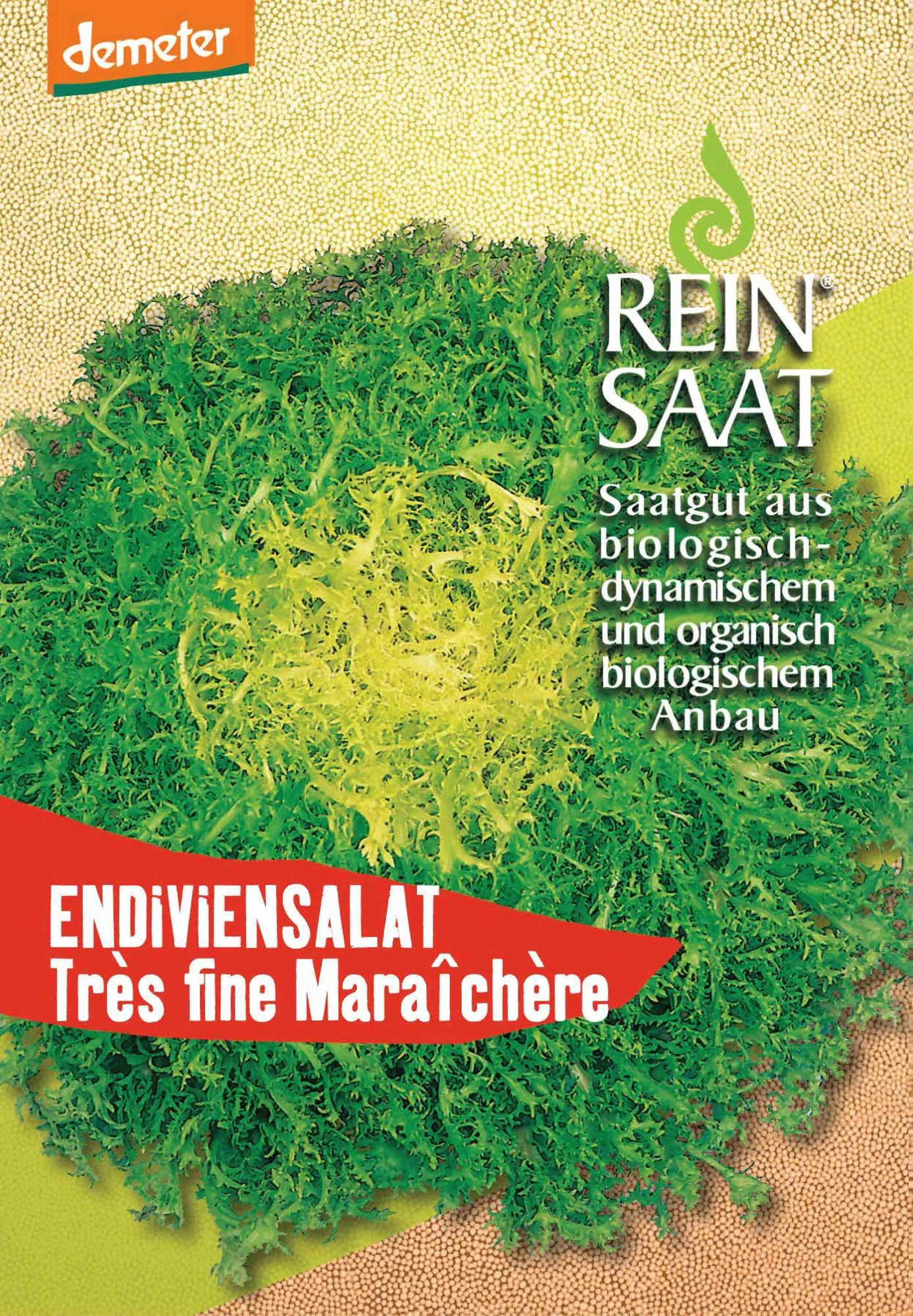 Endivie Tres Fine Maraichère | BIO Endiviensalatsamen Von Reinsaat 1 Endivie Tres Fine Maraichère | BIO Endiviensalatsamen Von Reinsaat