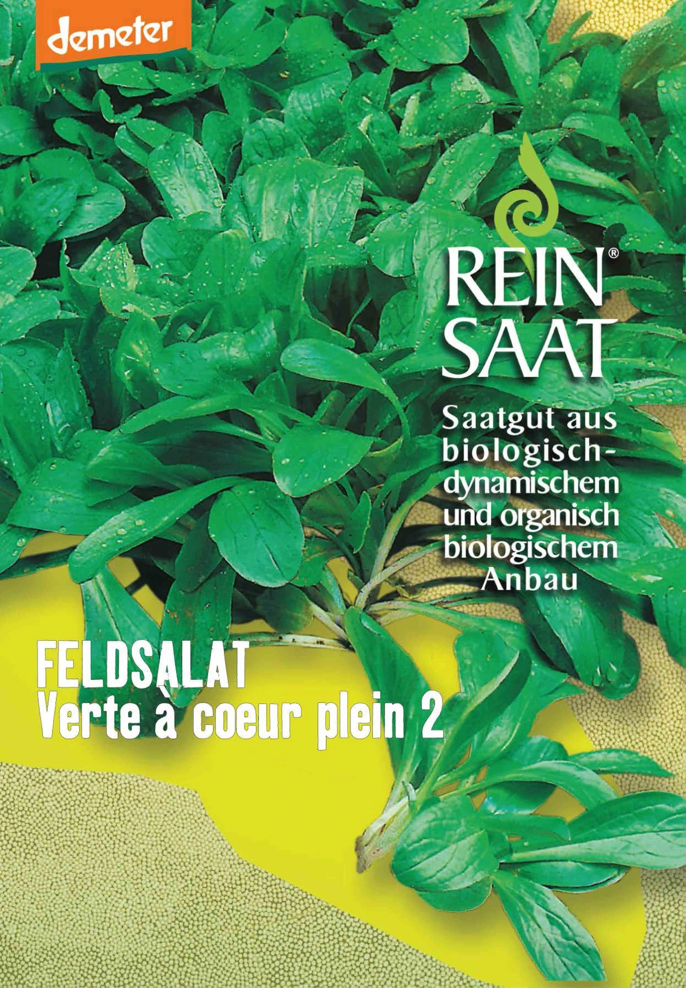 Feldsalat Verte à Coeur Plein 2 | BIO Feldsalatsamen Von Reinsaat 1 Feldsalat Verte à Coeur Plein 2 | BIO Feldsalatsamen Von Reinsaat