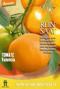 Fleischtomate Valencia | BIO Fleischtomatensamen Von Reinsaat